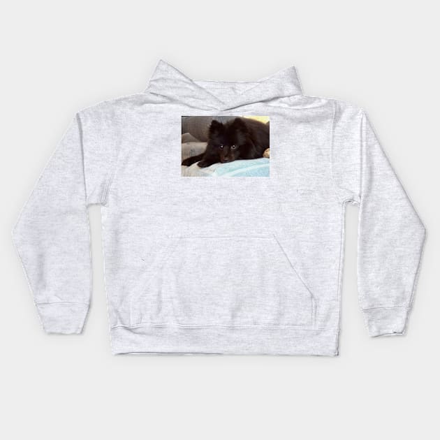 Pom Repose This little black puppy looks very innocent  until he hears the slightest noise and he is off to the races to track it down. Kids Hoodie by jennyleeandjim